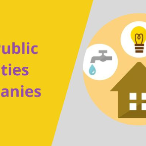PUBLIC UTILITY COMPANIES